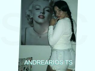 ANDREARIOS_TS