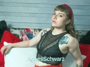 AgnesSchwarz