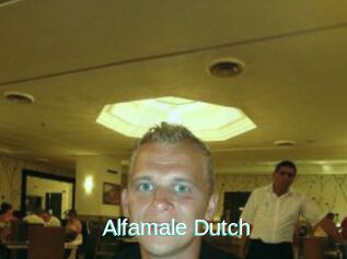Alfamale_Dutch