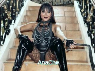 AnaChe