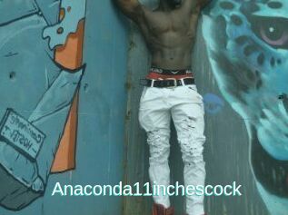 Anaconda11inchescock