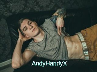 AndyHandyX