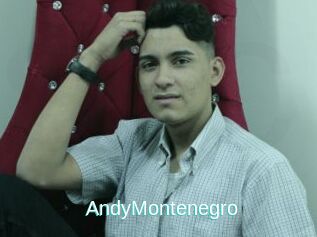 AndyMontenegro