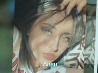 Aneu