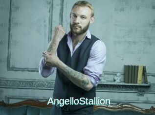 AngelloStallion