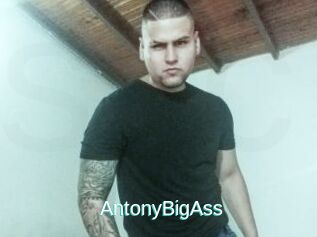 AntonyBigAss