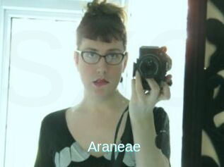Araneae