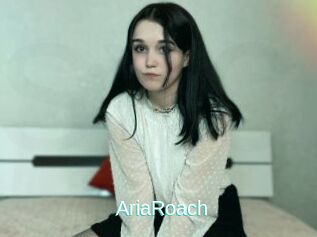 AriaRoach