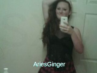 AriesGinger