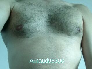 Arnaud95300