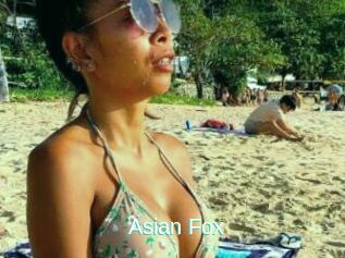 Asian_Fox