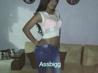 Assbigg
