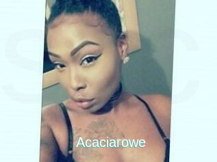 Acacia_rowe