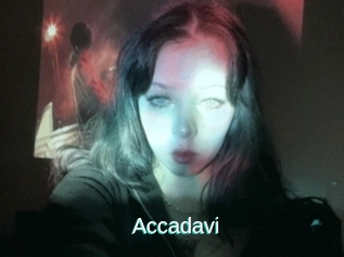 Accadavi