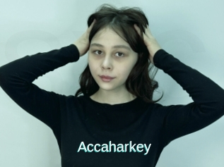 Accaharkey