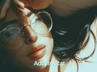 Adoptedcat