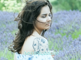 Aerinbaudelaire