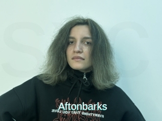 Aftonbarks