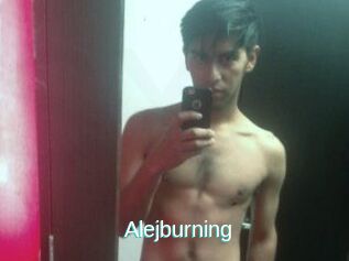 Alejburning