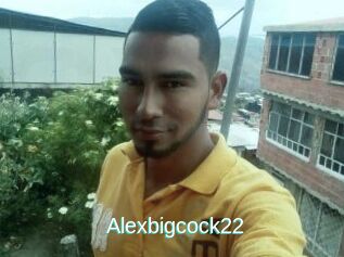 Alexbigcock22