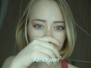 Alexflower