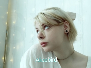 Alicebird