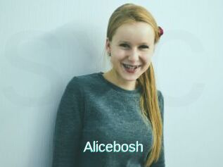 Alicebosh