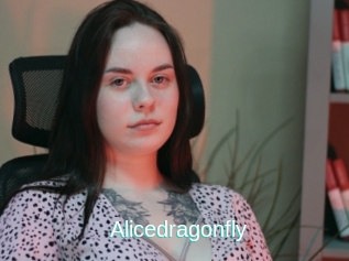 Alicedragonfly