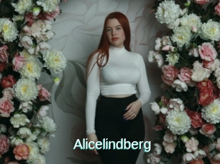Alicelindberg