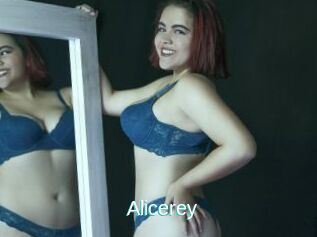 Alicerey