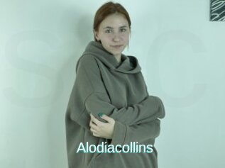Alodiacollins