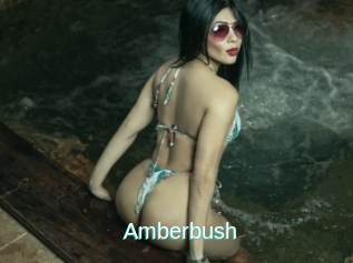 Amberbush