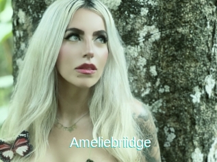 Ameliebriidge