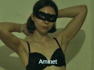 Aminet