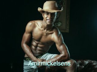 Amirmickelsens