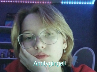 Amitygingell