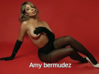 Amy_bermudez