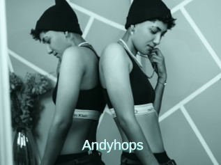 Andyhops