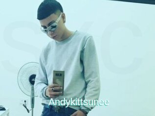 Andykittsunee