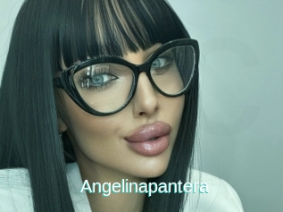 Angelinapantera
