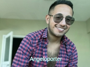 Angeloporter