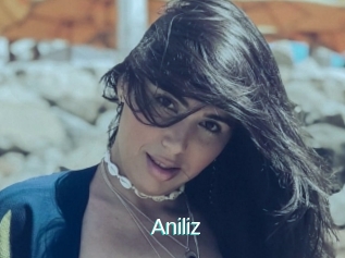 Aniliz