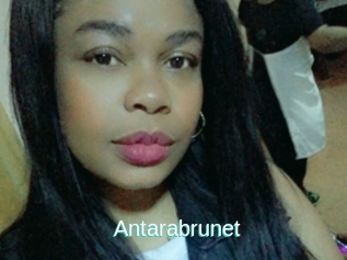Antarabrunet
