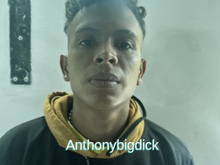 Anthonybigdick