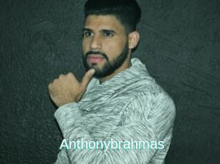 Anthonybrahmas