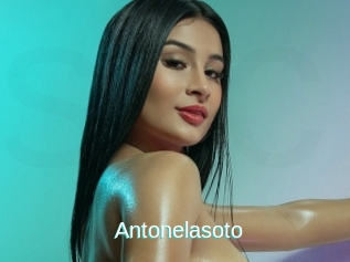 Antonelasoto