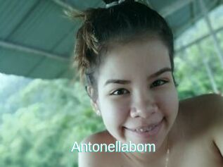 Antonellabom