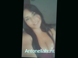 Antonellahunt