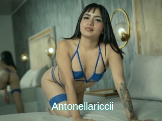 Antonellariccii