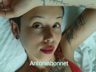 Antoniabonnet